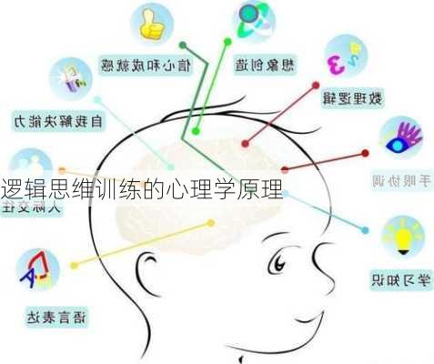 逻辑思维训练的心理学原理