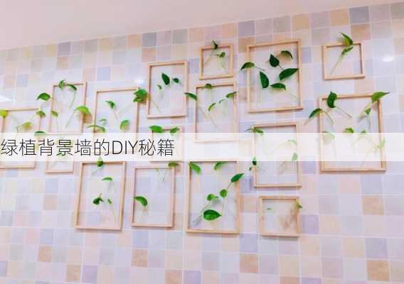 绿植背景墙的DIY秘籍