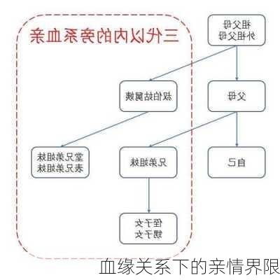 血缘关系下的亲情界限