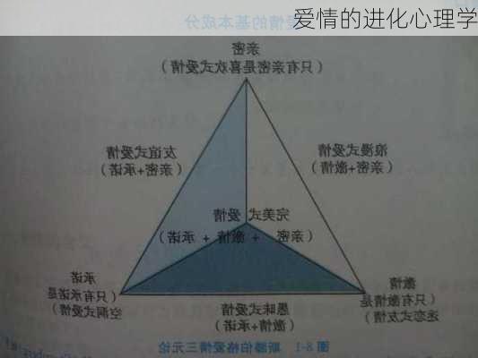 爱情的进化心理学