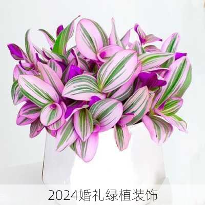 2024婚礼绿植装饰