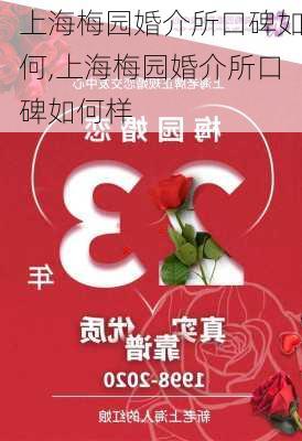 上海梅园婚介所口碑如何,上海梅园婚介所口碑如何样