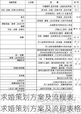 求婚策划方案及流程表,求婚策划方案及流程表格