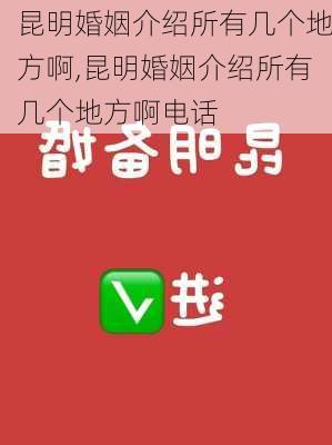 昆明婚姻介绍所有几个地方啊,昆明婚姻介绍所有几个地方啊电话