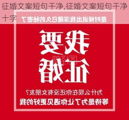 征婚文案短句干净,征婚文案短句干净十字