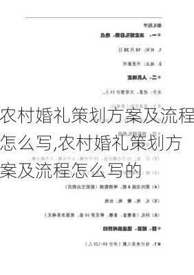 农村婚礼策划方案及流程怎么写,农村婚礼策划方案及流程怎么写的