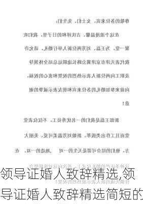 领导证婚人致辞精选,领导证婚人致辞精选简短的