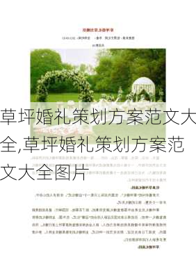 草坪婚礼策划方案范文大全,草坪婚礼策划方案范文大全图片