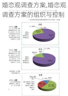 婚恋观调查方案,婚恋观调查方案的组织与控制