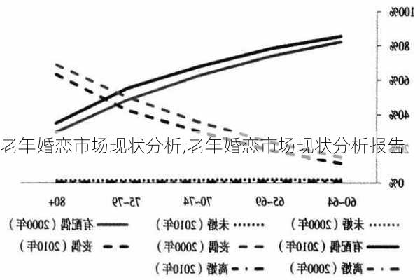 老年婚恋市场现状分析,老年婚恋市场现状分析报告