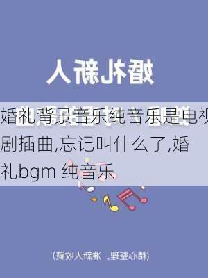 婚礼背景音乐纯音乐是电视剧插曲,忘记叫什么了,婚礼bgm 纯音乐