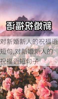 对新婚新人的祝福语短句,对新婚新人的祝福语短句子