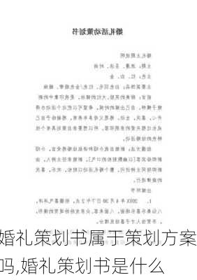 婚礼策划书属于策划方案吗,婚礼策划书是什么