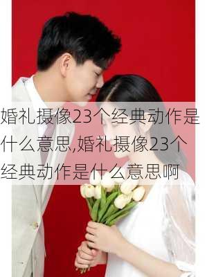 婚礼摄像23个经典动作是什么意思,婚礼摄像23个经典动作是什么意思啊