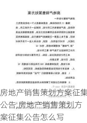 房地产销售策划方案征集公告,房地产销售策划方案征集公告怎么写