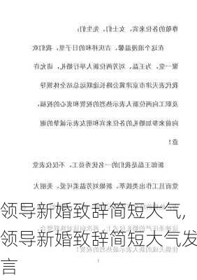 领导新婚致辞简短大气,领导新婚致辞简短大气发言