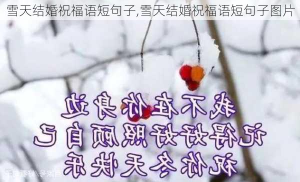 雪天结婚祝福语短句子,雪天结婚祝福语短句子图片