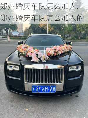 郑州婚庆车队怎么加入,郑州婚庆车队怎么加入的