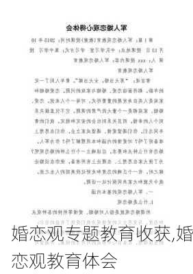 婚恋观专题教育收获,婚恋观教育体会