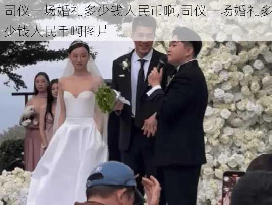 司仪一场婚礼多少钱人民币啊,司仪一场婚礼多少钱人民币啊图片