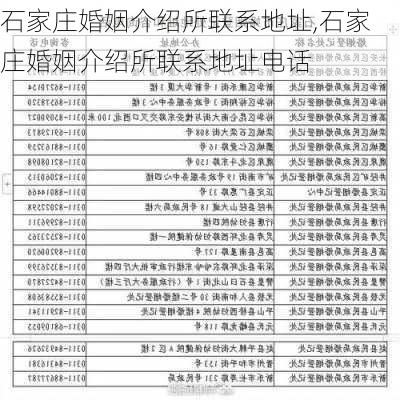 石家庄婚姻介绍所联系地址,石家庄婚姻介绍所联系地址电话