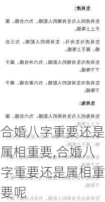 合婚八字重要还是属相重要,合婚八字重要还是属相重要呢